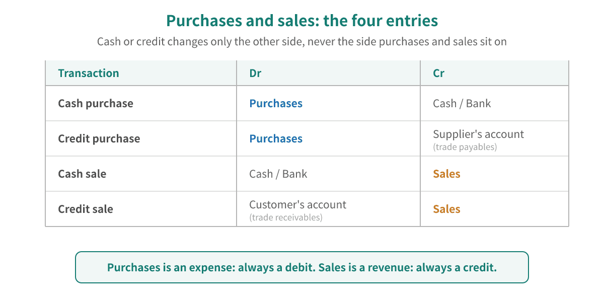Four double entries: a cash purchase debits Purchases and credits Cash; a credit purchase debits Purchases and credits the supplier's account; a cash sale debits Cash and credits Sales; a credit sale debits the customer's account and credits Sales — purchases is always a debit and sales is always a credit