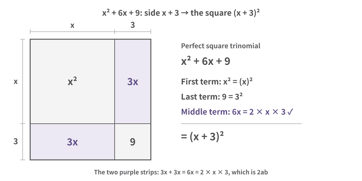A square with side x + 3 cut into four pieces: x² at the top left, 9 at the bottom right, and two purple strips of 3x each, which add to 6x. On the right, each term is checked: the first term x² is the square of x, the last term 9 is the square of 3, and the middle term 6x equals 2 × x × 3, so x² + 6x + 9 = (x + 3)²