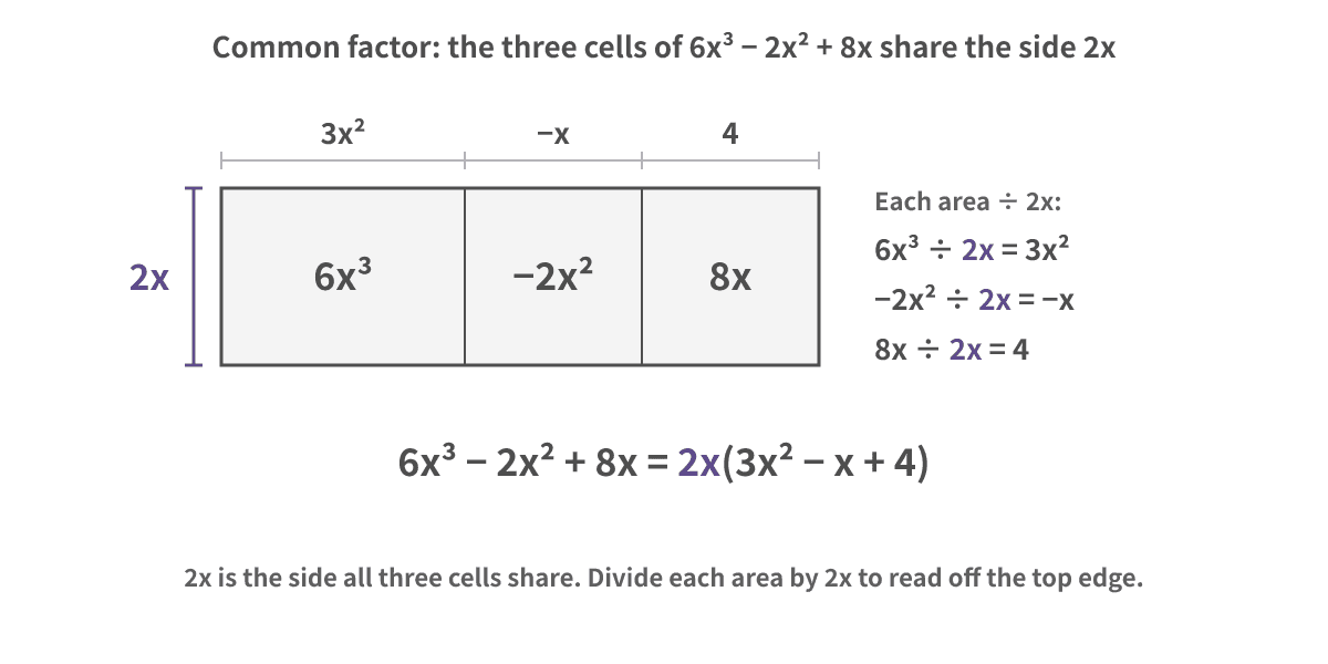 A rectangle cut into three cells. The left side is the purple common factor 2x. The cells hold 6x³, −2x² and 8x. Dividing each cell by 2x reads off the top edge: 3x², −x and 4. So 6x³ − 2x² + 8x = 2x(3x² − x + 4)
