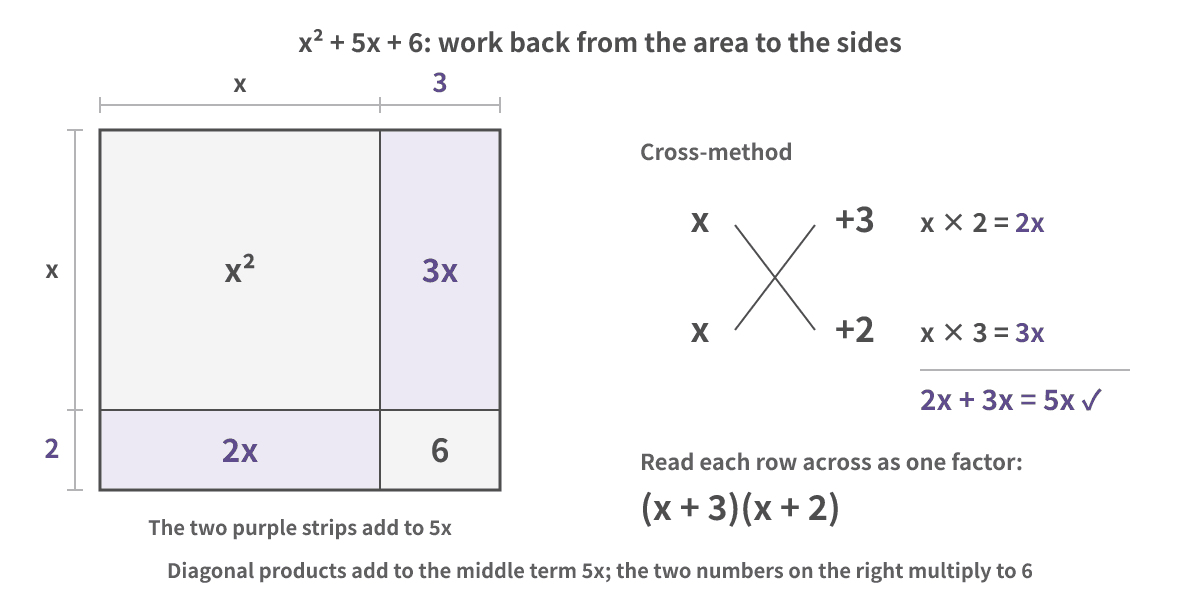 Left: an area model. x² and 6 sit in two corners, and the two purple strips 3x and 2x add to 5x, so the sides are x + 3 and x + 2. Right: the cross, with x and x on the left and +3 and +2 on the right. The diagonal products are 2x and 3x, which add to 5x. Reading across gives (x + 3)(x + 2)